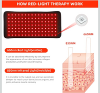 Red Light Therapy Belt – Infrared Heating Therapy Wrap (660nm + 850nm)
