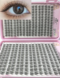 Fine Short D Curl Lash Clusters (384pcs)