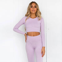 yoga sets gym fitness sportswear 2 pcs yoga set gym set fitness clothing